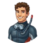 Fin