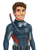 Fin
